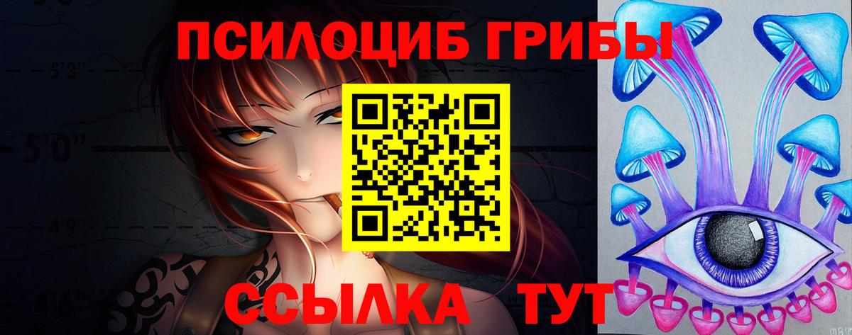 купить закладку  Вход с VPN  Вятские Поляны  Псилоцибиновые грибы GOLDEN TEACHER 