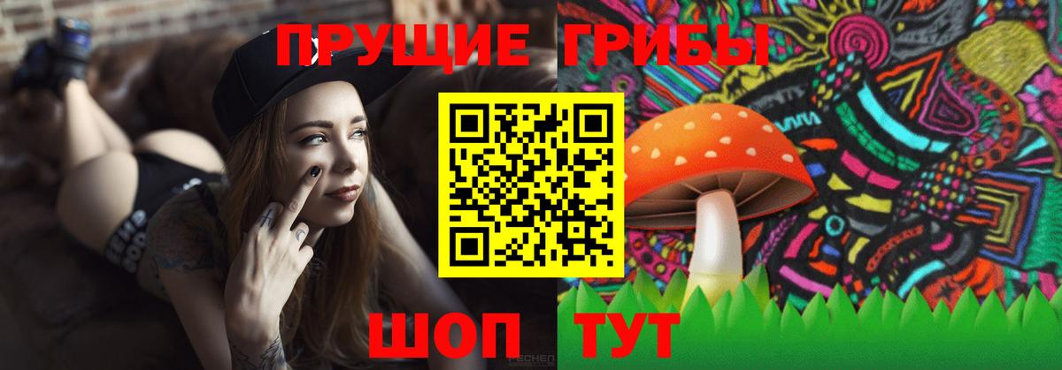 Галлюциногенные грибы Magic Shrooms Вятские Поляны